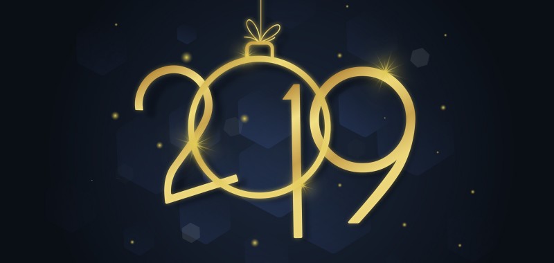 bonne année 2019 avec Pelotes et compagnie